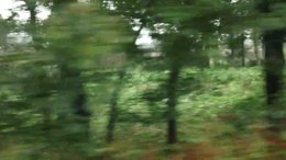 桃乡阳山桃花已开了广六、